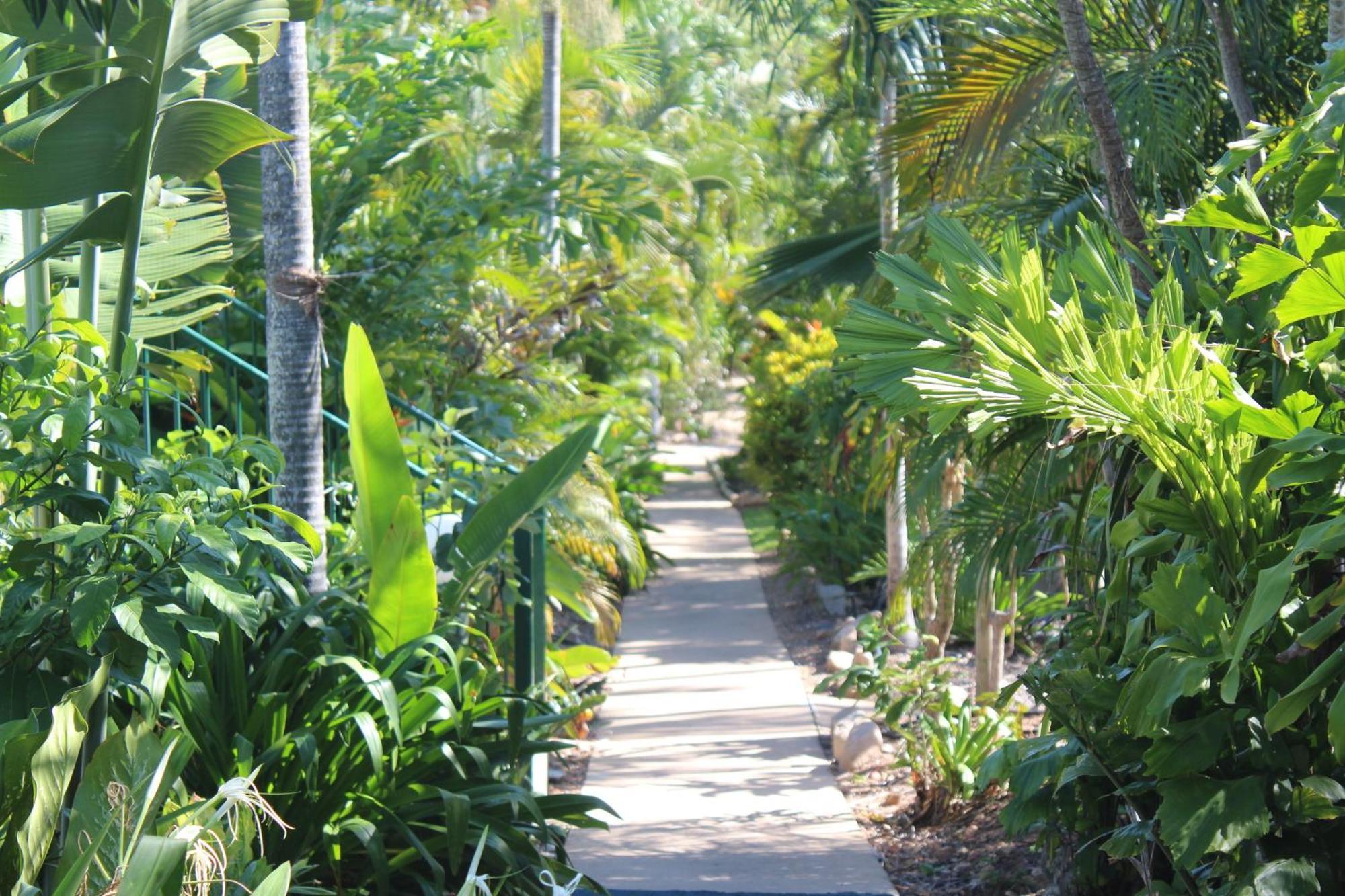 อมารู ออน มันฑะเลย์ โฮเต็ล Hotel Nelly Bay ภายนอก รูปภาพ